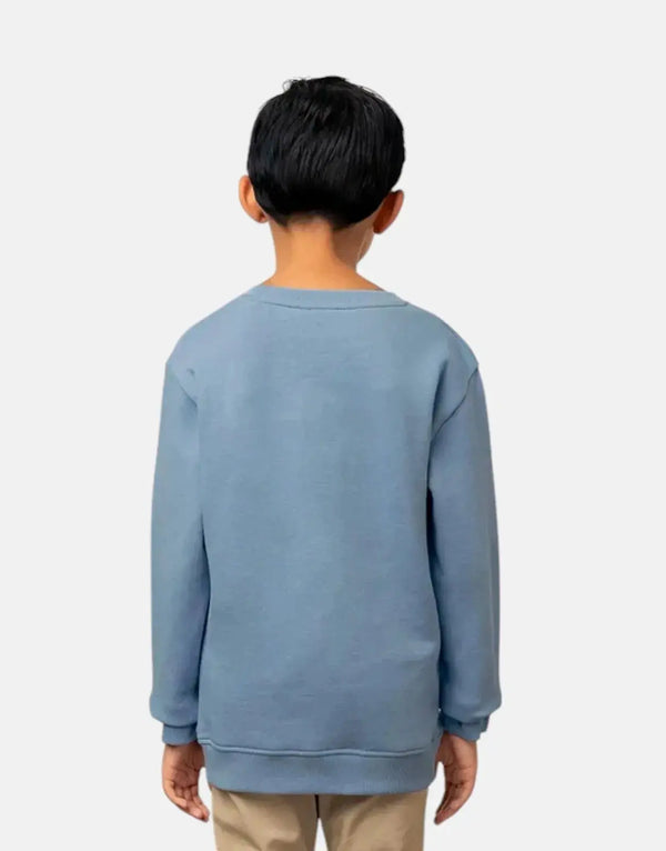 Polo Boys Adrian Blue Cotton Fleece Sweatshirt - Cozy Kids Top with Pony
