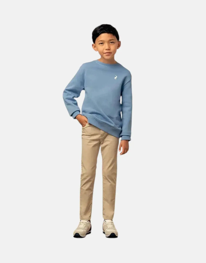 Polo Boys Adrian Blue Cotton Fleece Sweatshirt - Cozy Kids Top with Pony