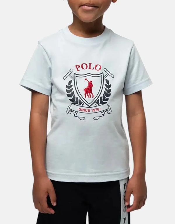 Polo Boys Cory Crested Sky Blue Cotton T-Shirt - Soft, Breathable Comfort