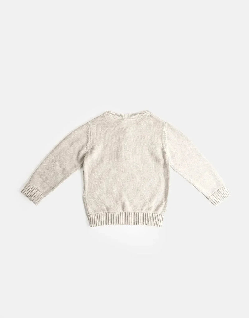 Polo Kids Usher Argyle Jersey: Classic Style, Warm Comfort, Premium Quality Knit
