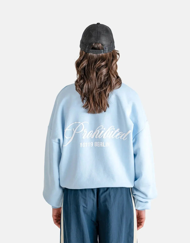 Comfortable Sky Blue Crew Neck Sweatshirt, Soft Fabric, Relaxed Fit, Versatile Style