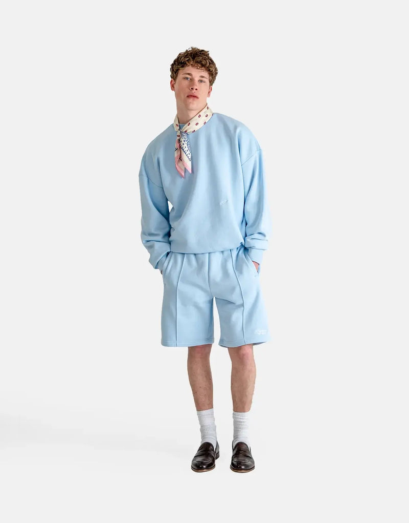 Comfortable Sky Blue Crew Neck Sweatshirt, Soft Fabric, Relaxed Fit, Versatile Style