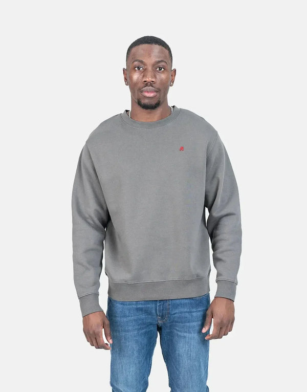 Replay R Badge Men's Grey Fleece Crewneck Sweatshirt - Premium Everyday Comfort