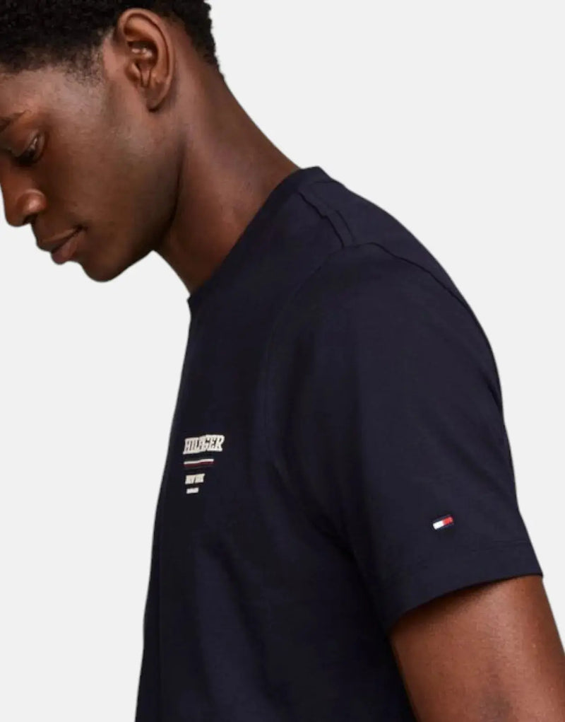 Tommy Hilfiger Men's Navy Cotton T-Shirt, Global Stripe, Classic Fit Crew Neck