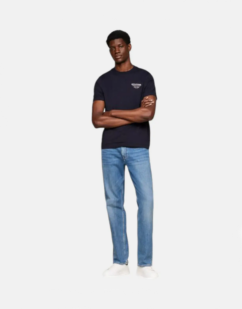 Tommy Hilfiger Men's Navy Cotton T-Shirt, Global Stripe, Classic Fit Crew Neck