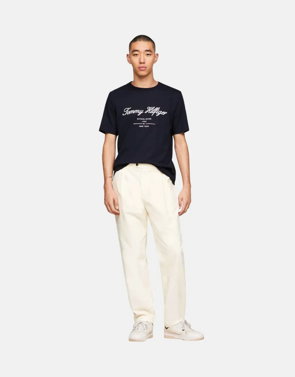 Tommy Hilfiger Men's Navy Script Logo Pure Cotton Crewneck T-Shirt