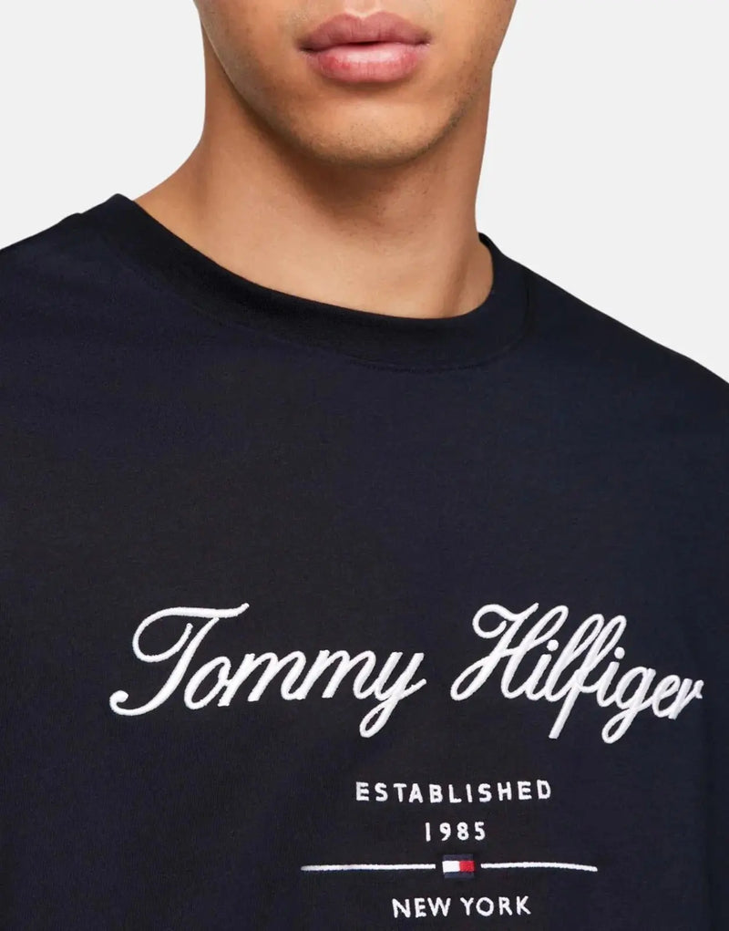 Tommy Hilfiger Men's Navy Script Logo Pure Cotton Crewneck T-Shirt