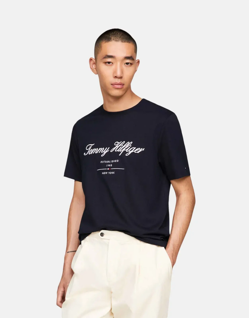 Tommy Hilfiger Men's Navy Script Logo Pure Cotton Crewneck T-Shirt