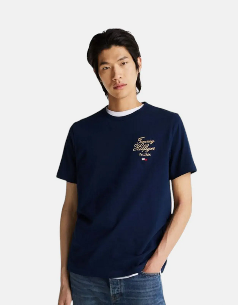 Tommy Hilfiger Men's Pure Cotton Script Stack T-Shirt with Embroidered Logo