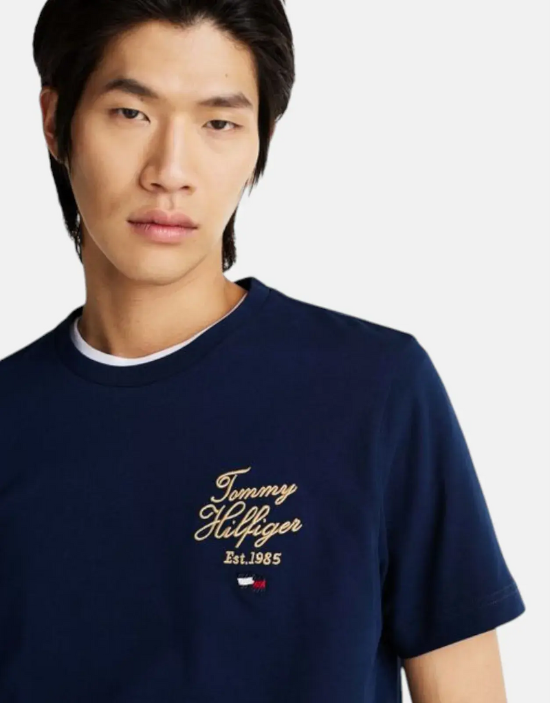 Tommy Hilfiger Men's Pure Cotton Script Stack T-Shirt with Embroidered Logo